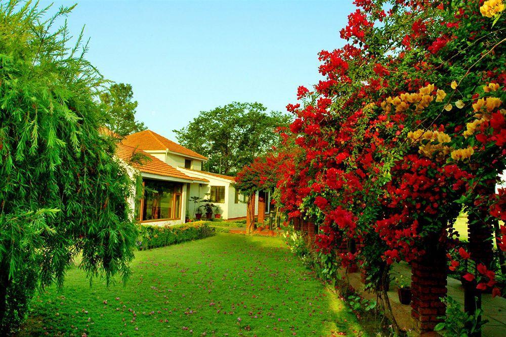Hotel Naturoville Ayurvedic And Yoga Retreat Rišikéš Exteriér fotografie