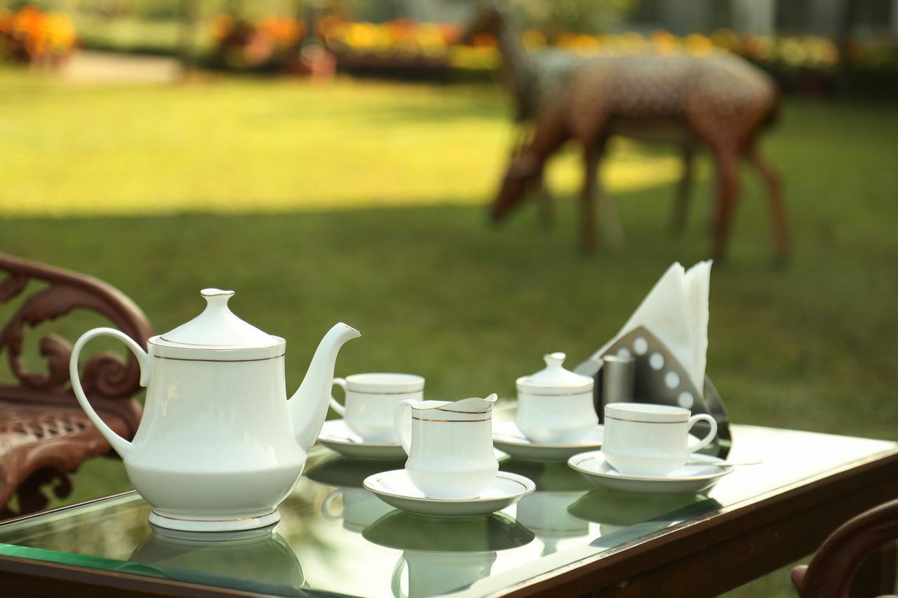 Hotel Naturoville Ayurvedic And Yoga Retreat Rišikéš Exteriér fotografie