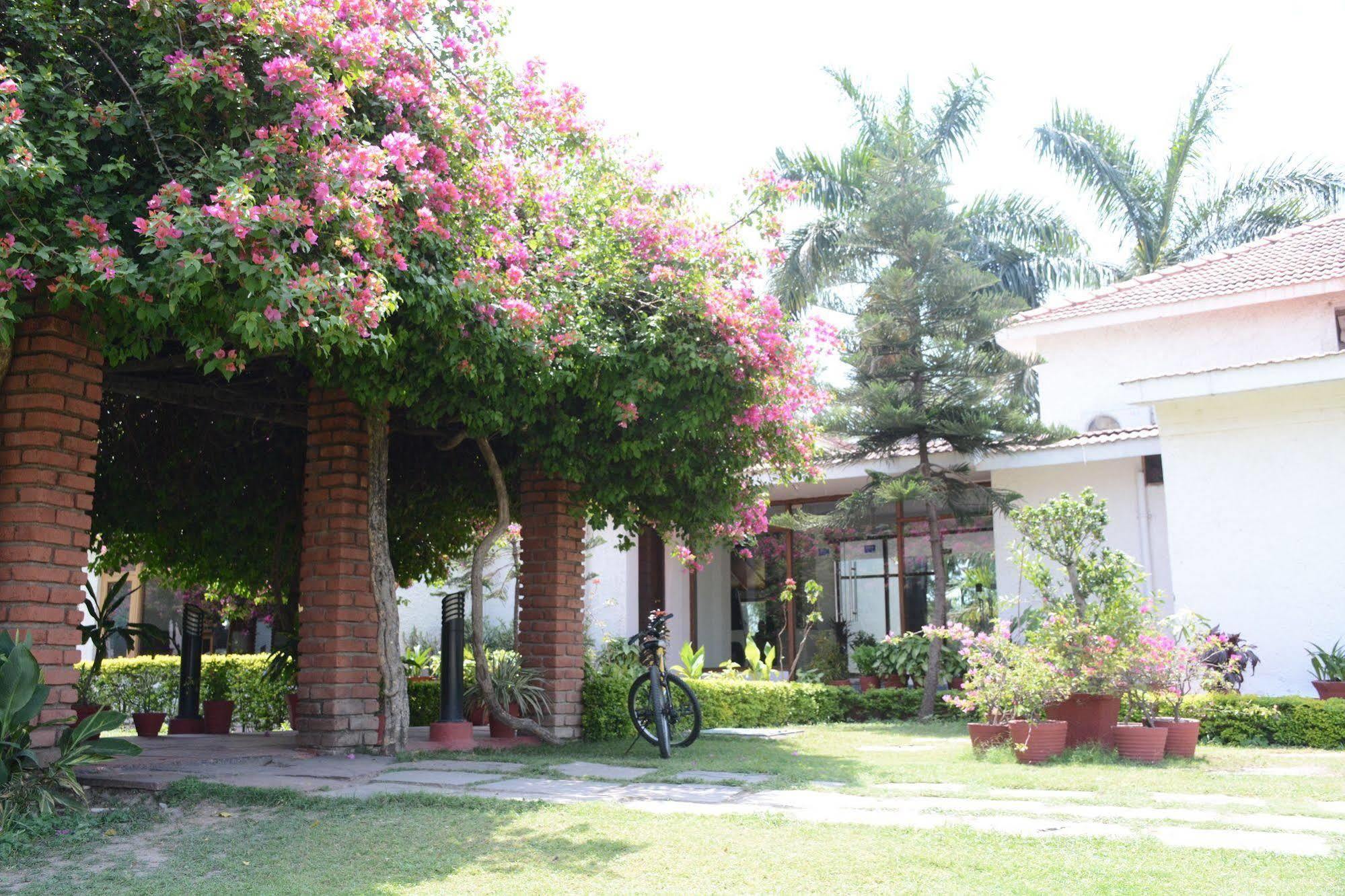 Hotel Naturoville Ayurvedic And Yoga Retreat Rišikéš Exteriér fotografie