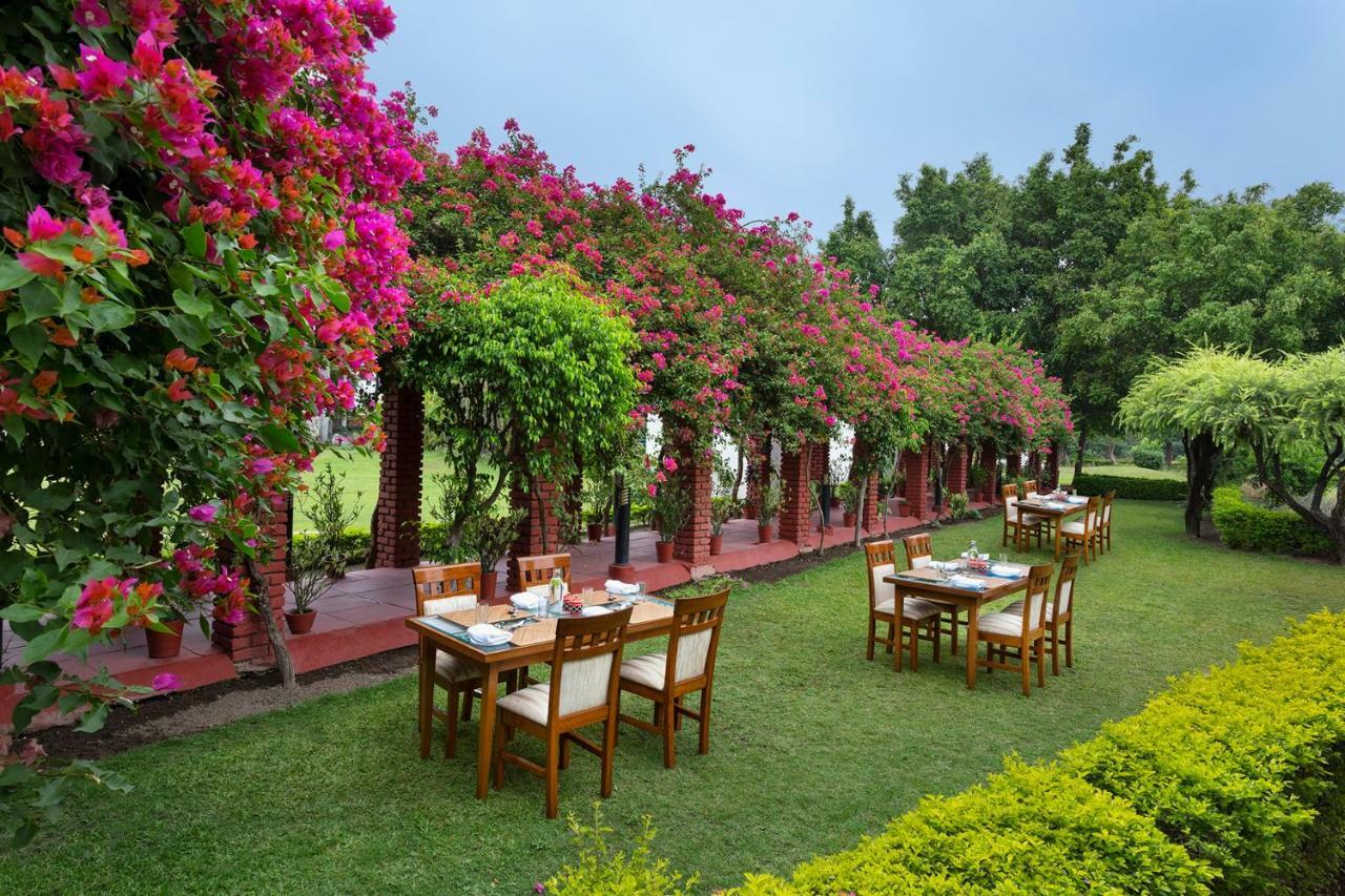 Hotel Naturoville Ayurvedic And Yoga Retreat Rišikéš Exteriér fotografie